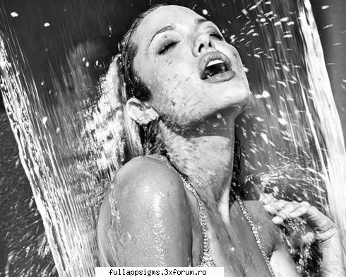 Intellectchaos Images Collection - COOL CATS vol.02 - mersi imaginile sunt super - HOT WALLPAPERS